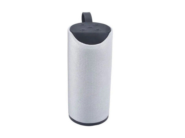 اسپیکر تی اند جی Tg-113